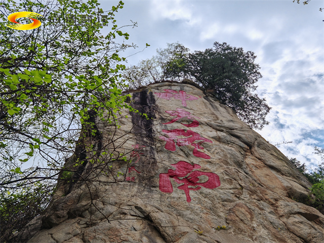 fe3319991c3c1b2666107e21f5a93979.jpg 微信圖片_20240417113636_副本.jpg